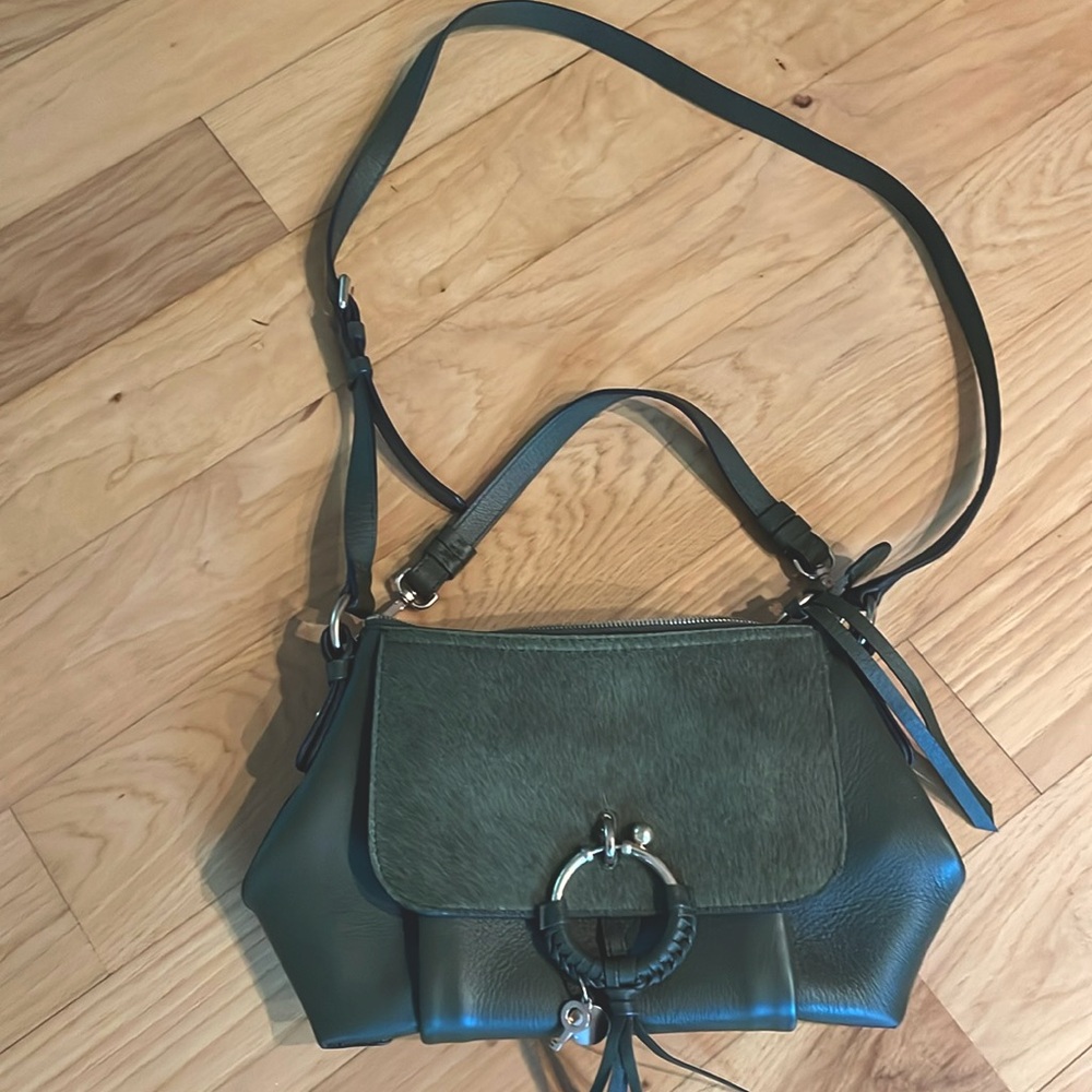 Gorgeous See by Chloe handbag. Olive green with horsehair flap.
